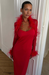 Feather Mesh Dress