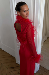 Feather Mesh Dress