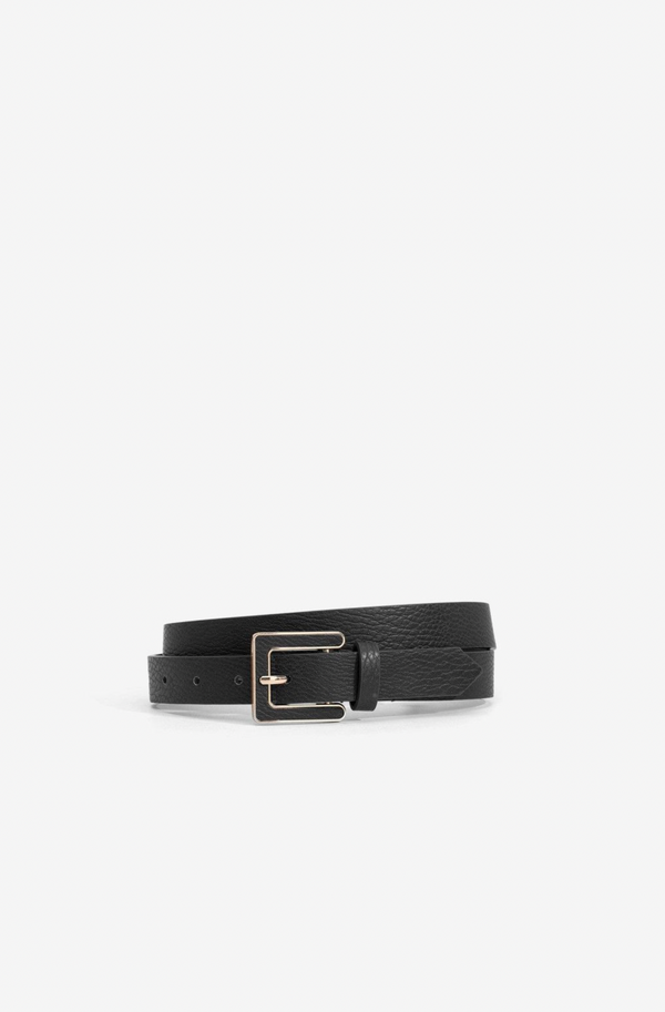 Larissa Belt