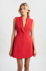 Destene Hourglass Mini Dress